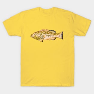 Yellowfin Grouper T-Shirt